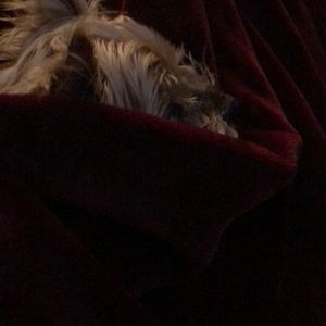 Meet your Posher, Lizeth